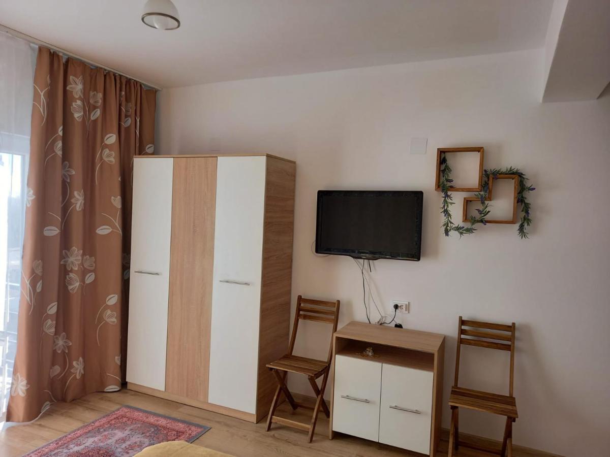 Conacul Doamnei Nucsoara Hotell Exteriör bild