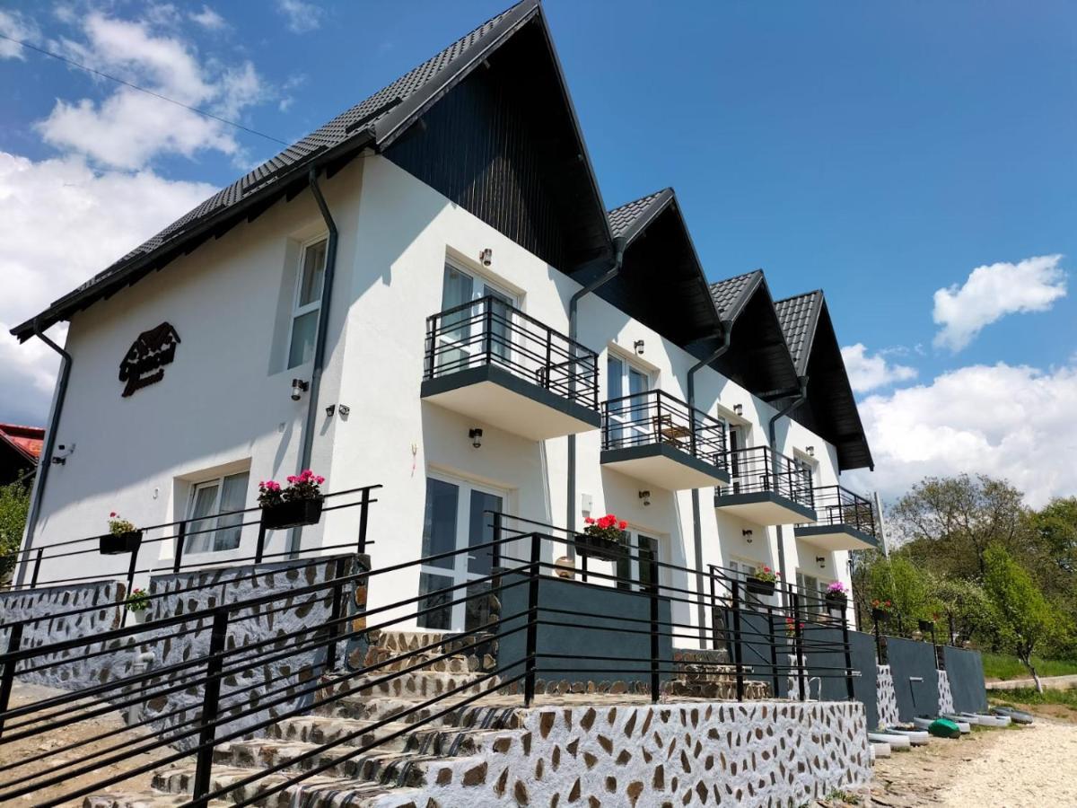 Conacul Doamnei Nucsoara Hotell Exteriör bild