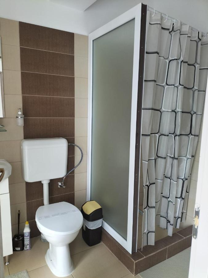 Conacul Doamnei Nucsoara Hotell Exteriör bild