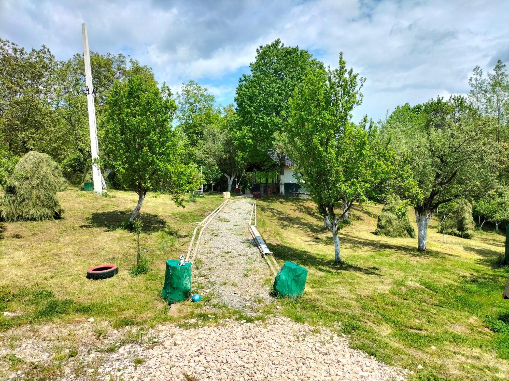 Conacul Doamnei Nucsoara Hotell Exteriör bild